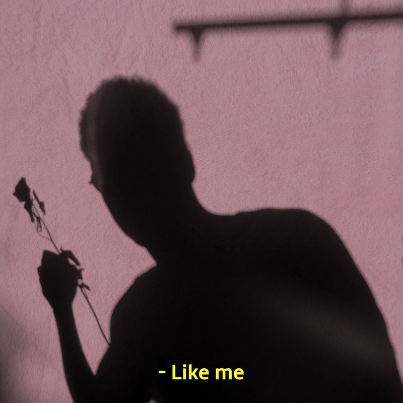 LikeMe封面