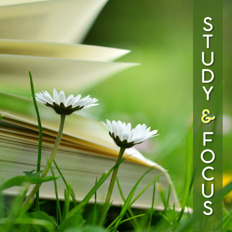 StudyMotivation封面