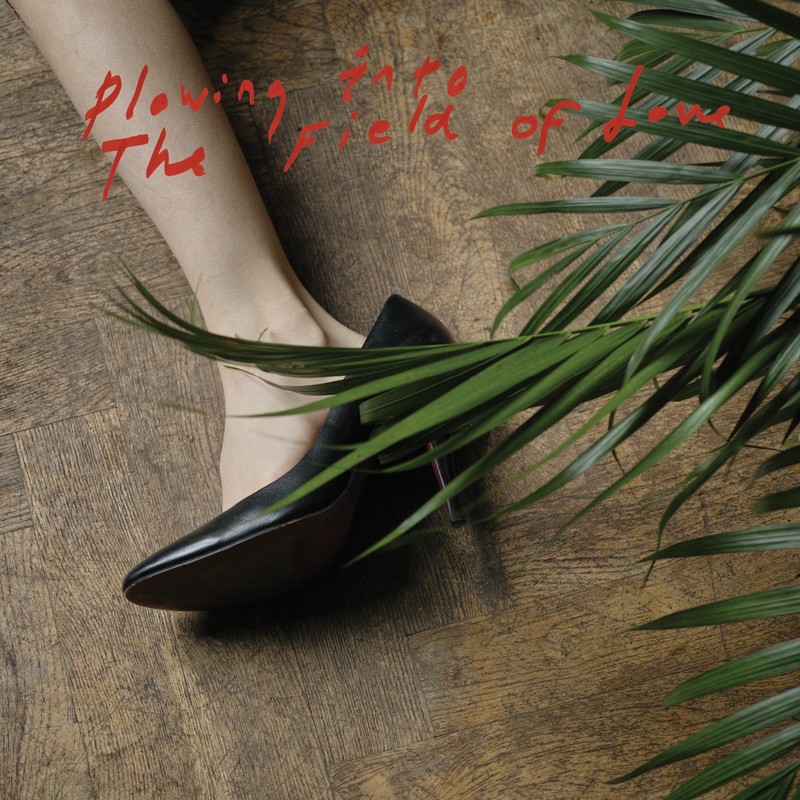 PlowingIntotheFieldofLove封面