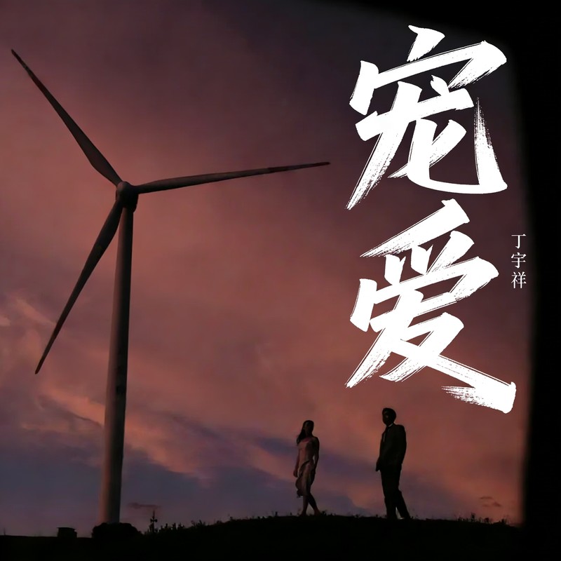 宠爱封面