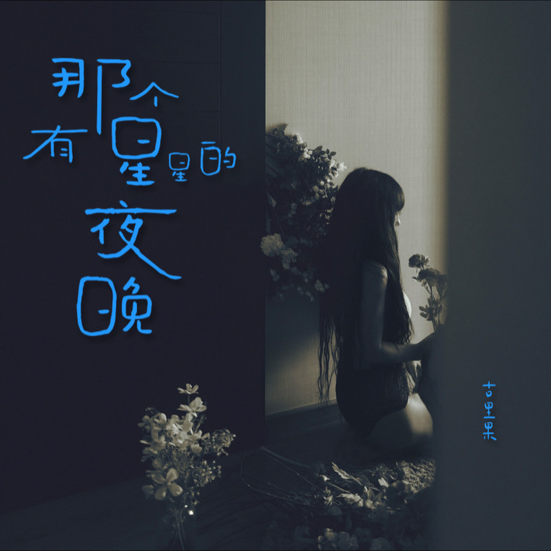 那个有星星的夜晚封面