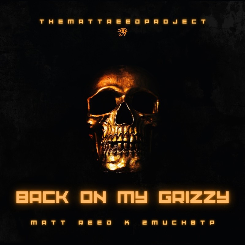 BackOnMyGrizzy封面