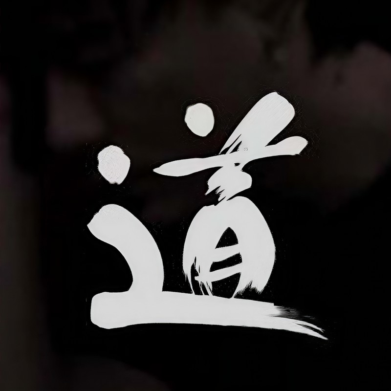 道封面