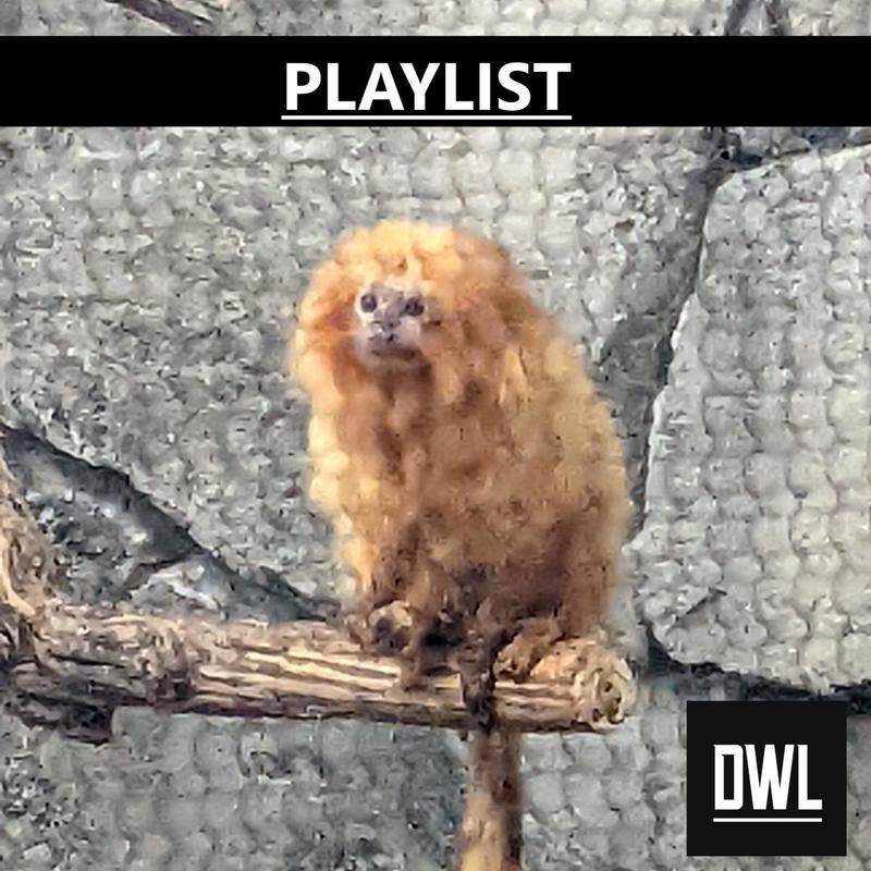 Playlist封面
