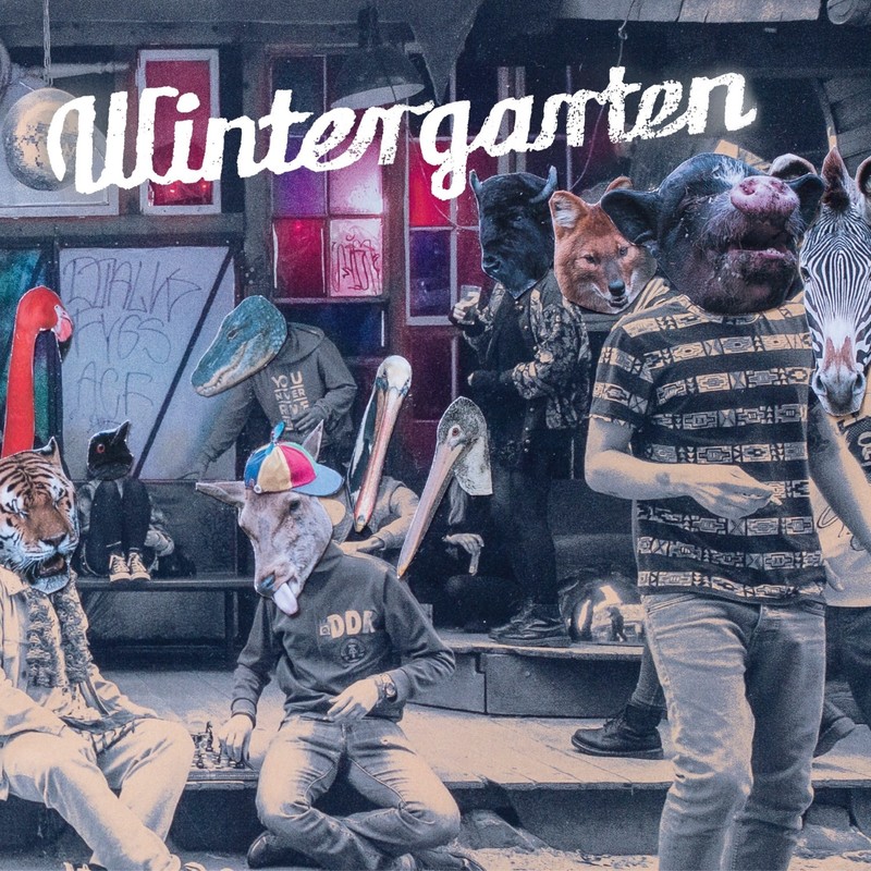 LikeAFeather封面
