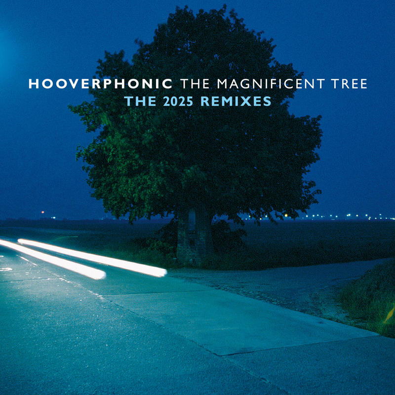 TheMagnificentTree封面