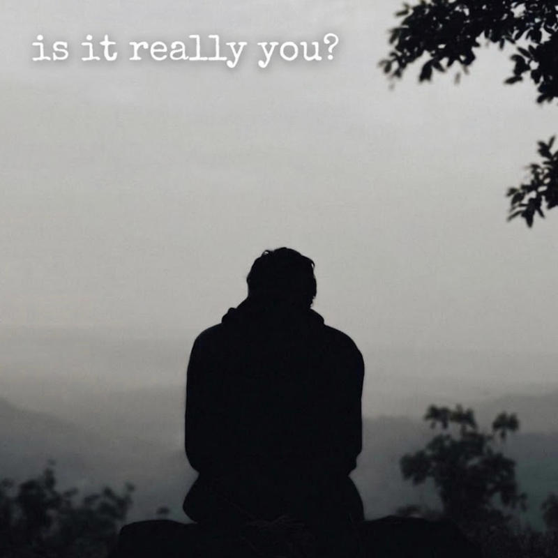Isitreallyyou封面