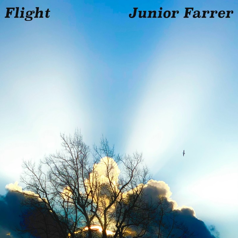 Flight封面