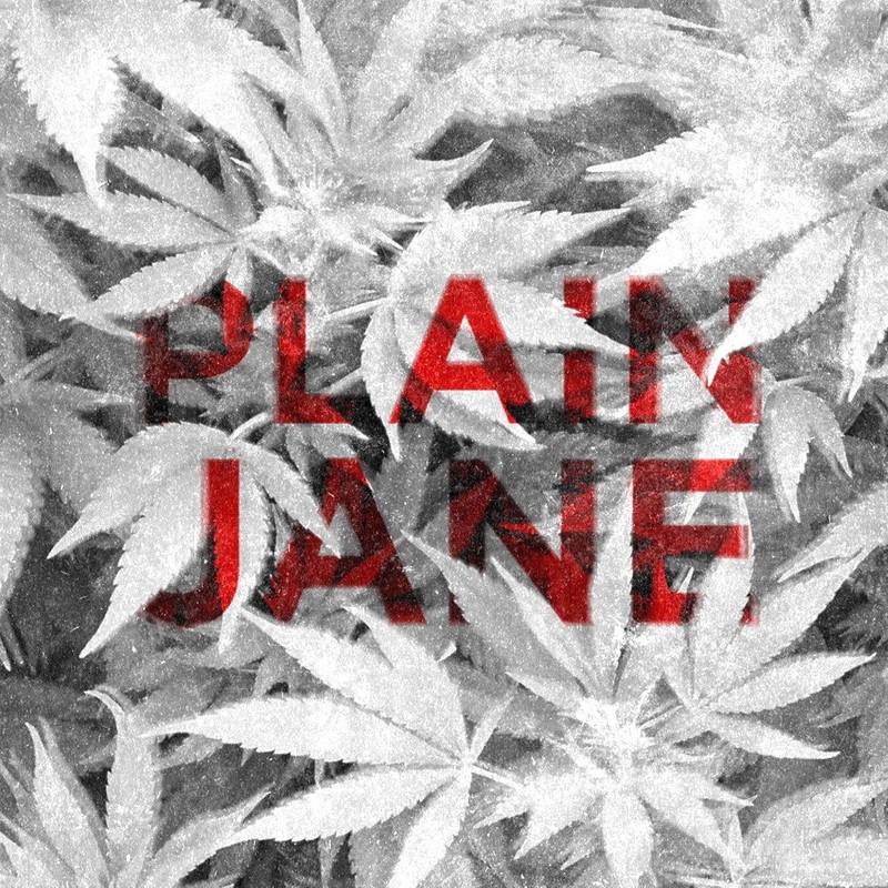 PlainJane封面