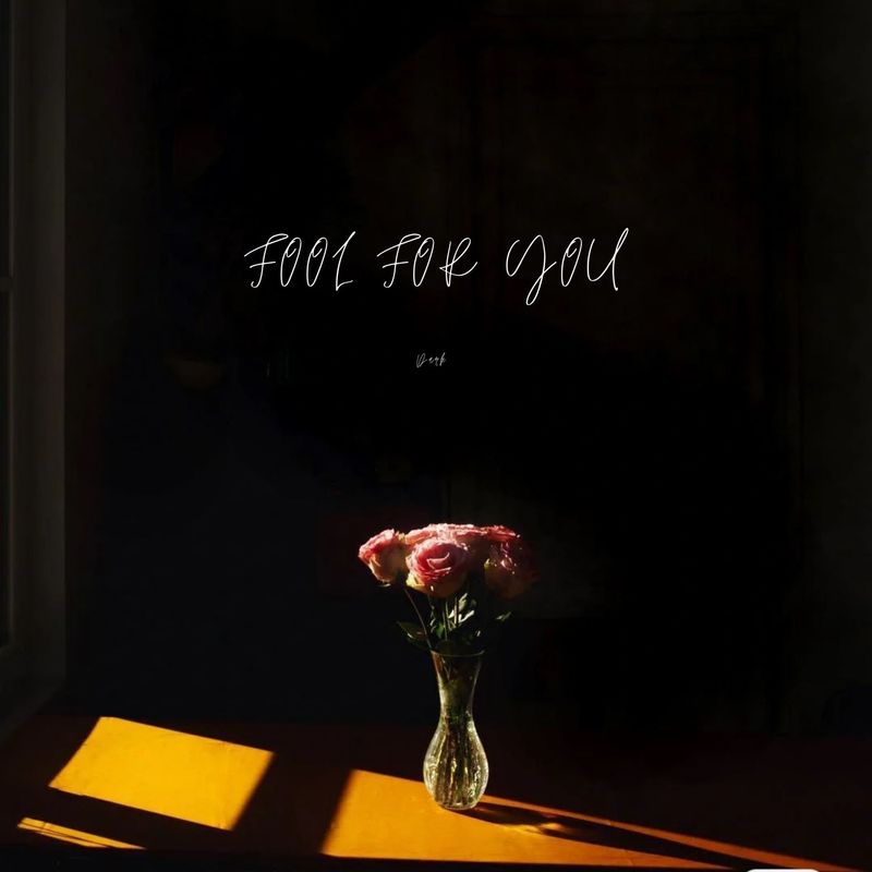 FoolForYou封面