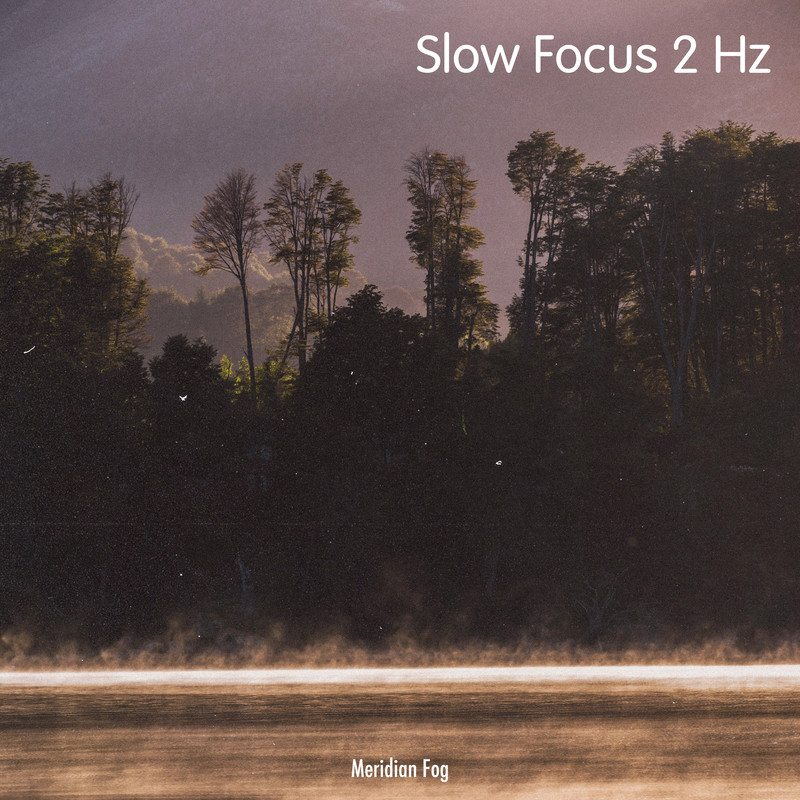 SlowFocus2Hz封面