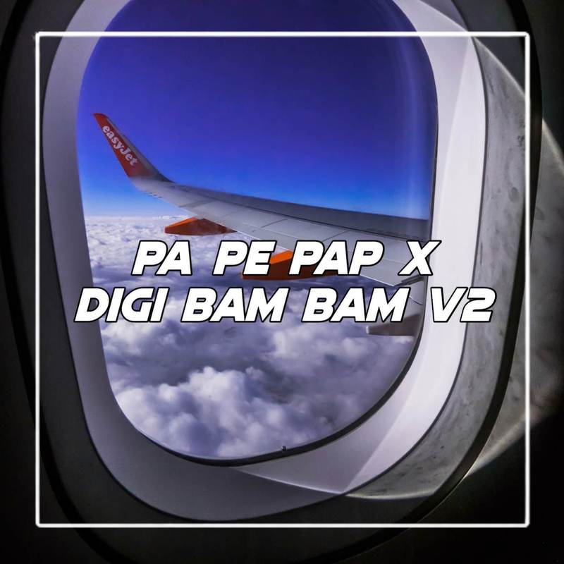 DJPAPEPAPXDIGIBAMV2封面