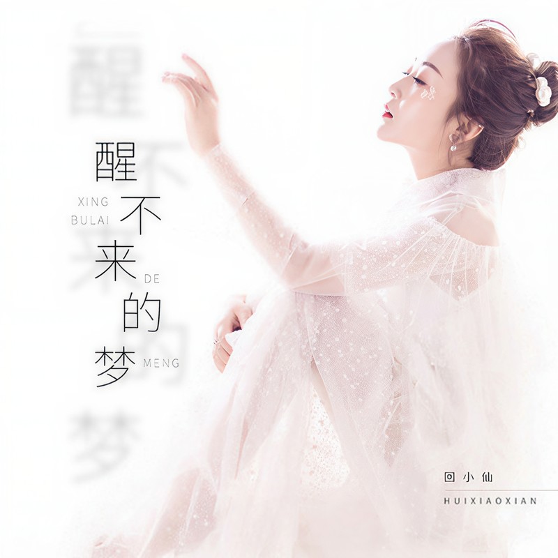 醒不来的梦封面