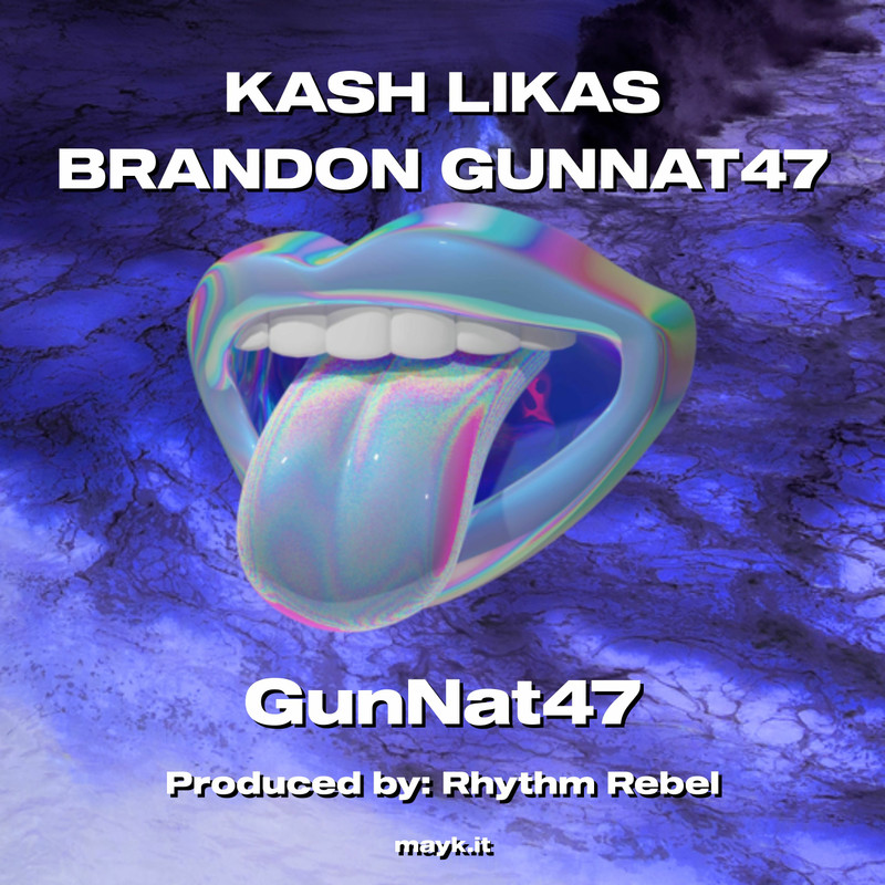 KASHLIKASBRANDONGUNNAT47封面