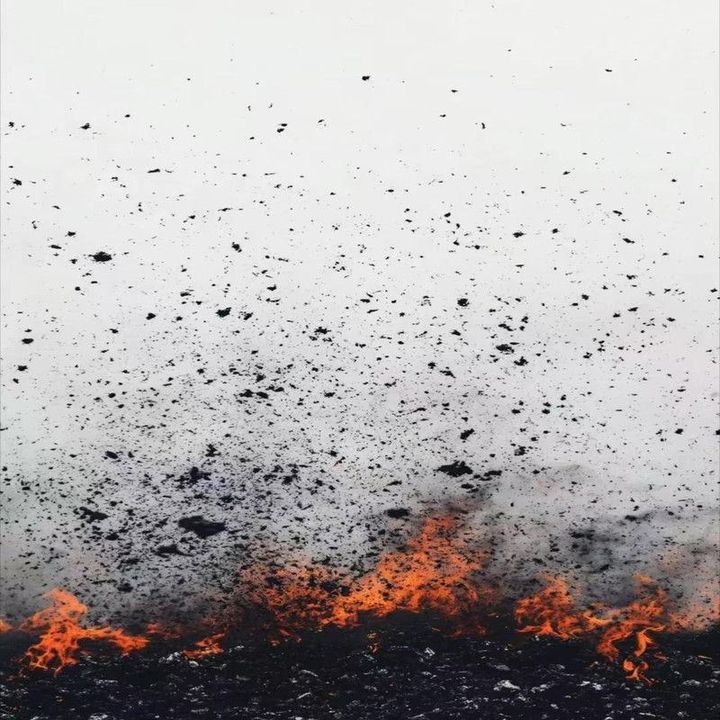 棕旨封面
