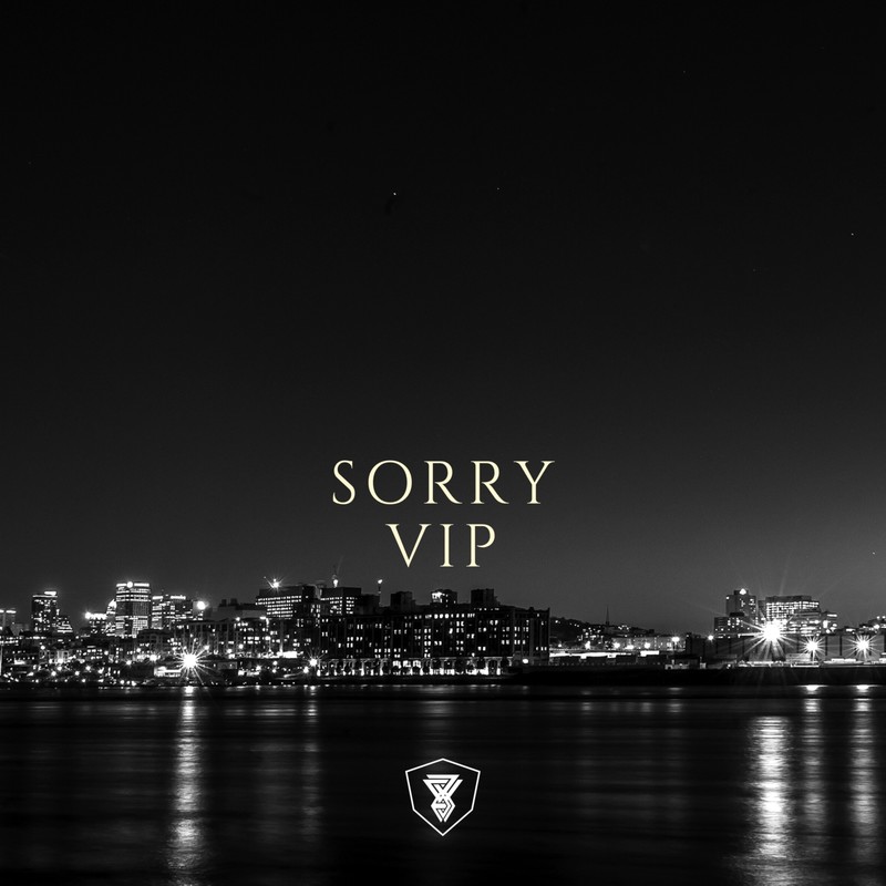 SorryVIP封面