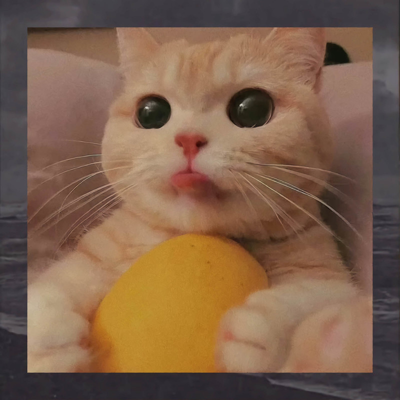 OopsMyBaby封面
