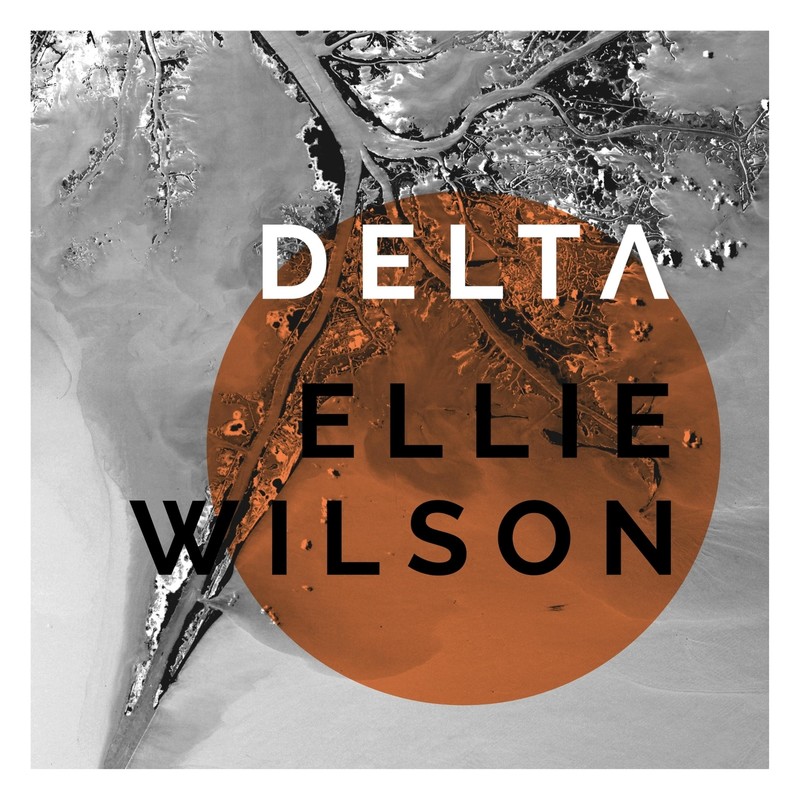 Delta封面