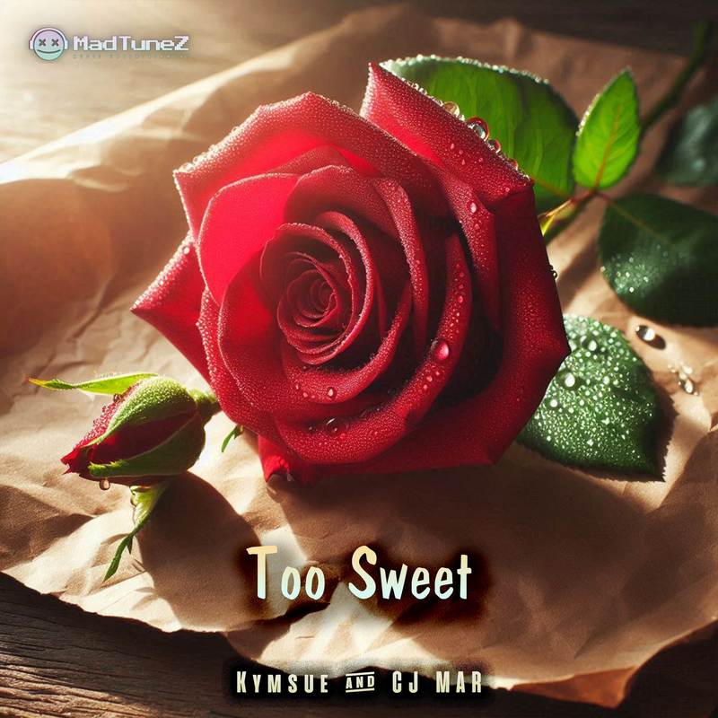 TooSweet封面