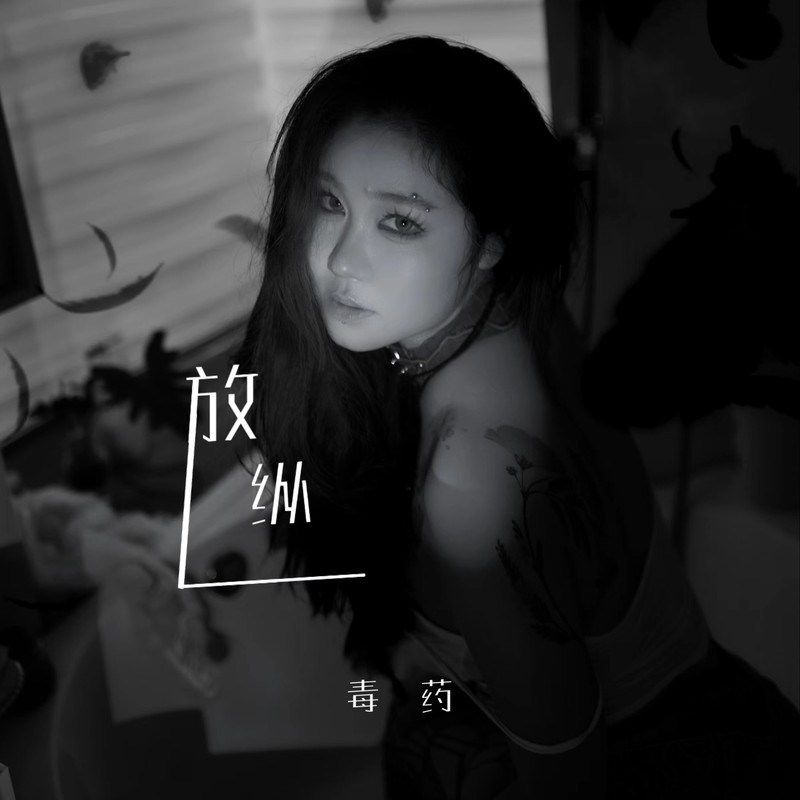 放纵L封面