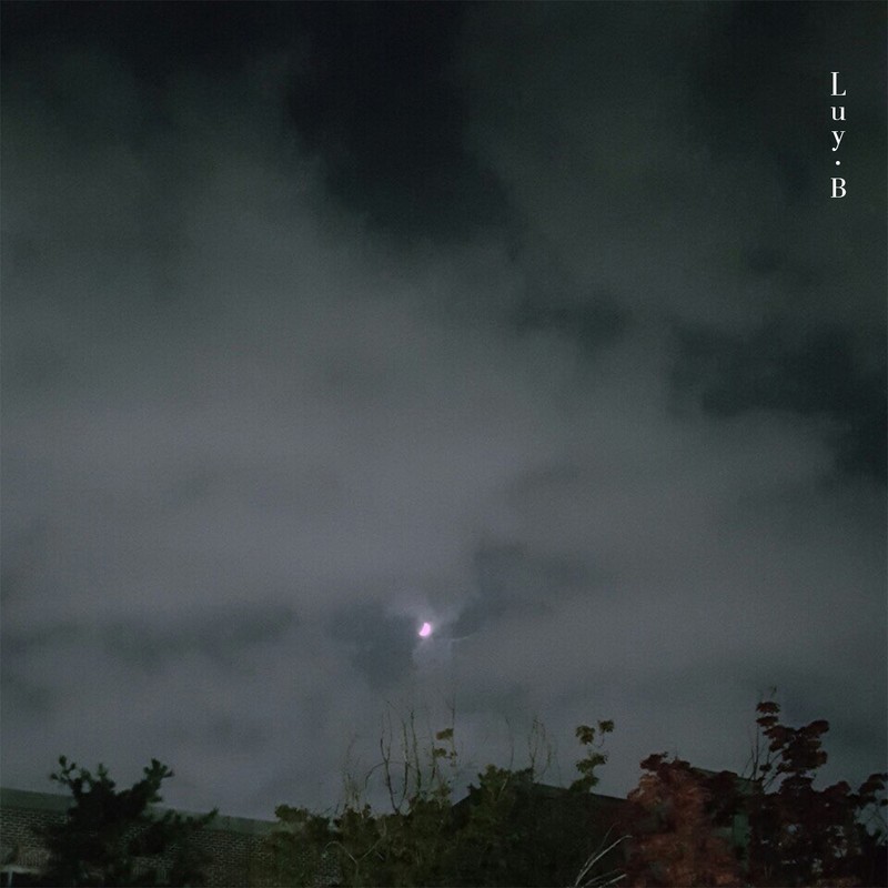 달빛封面