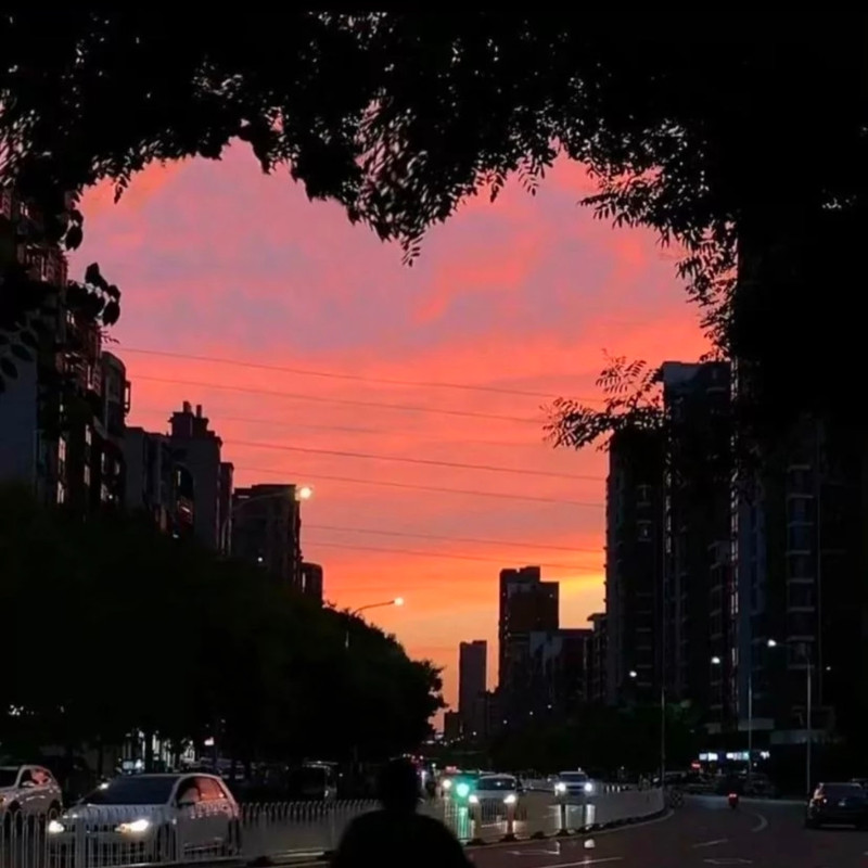 再见封面