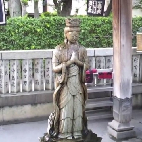 柴又封面