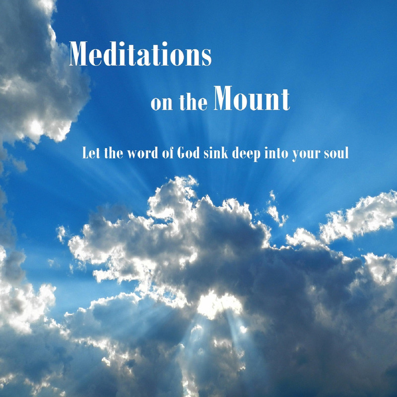 IntroductiontoBible封面