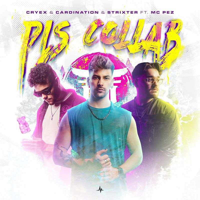 PLSCOLLAB封面