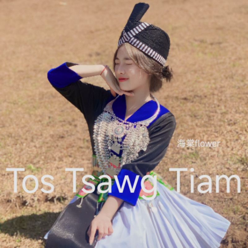 MamSibNtsibSaumNtujCeebTsheej封面