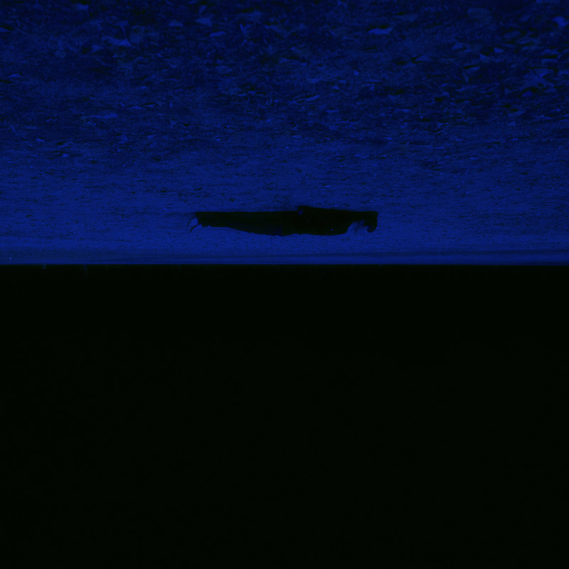 AloneAgain封面
