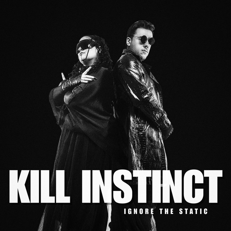 IgnoreTheStatic封面