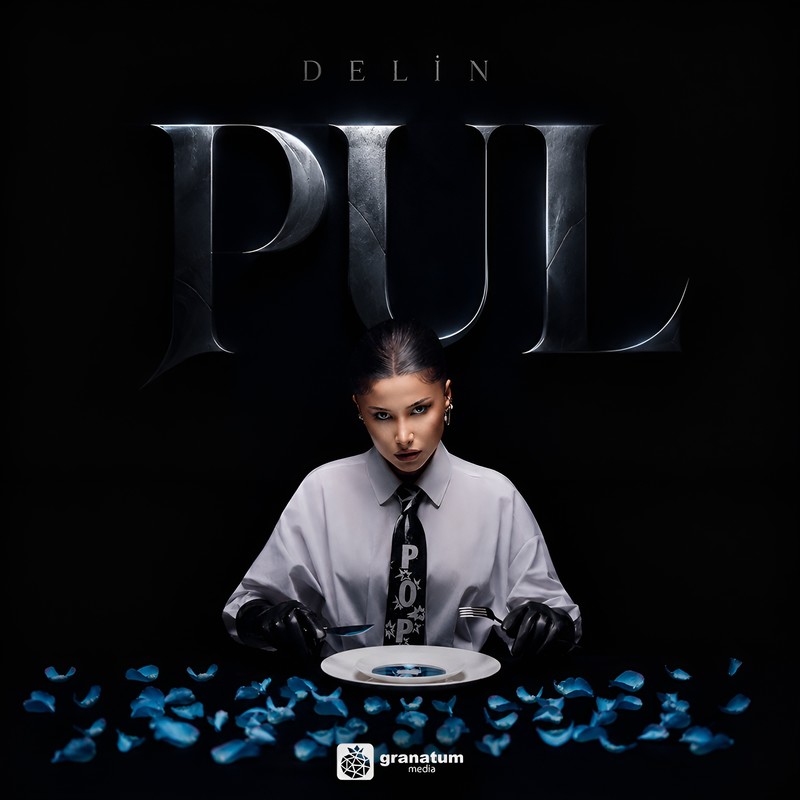 Pul封面