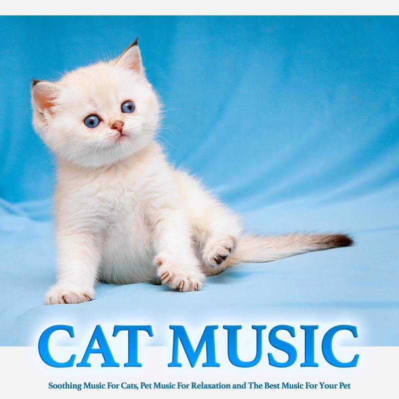 MusicForCats封面