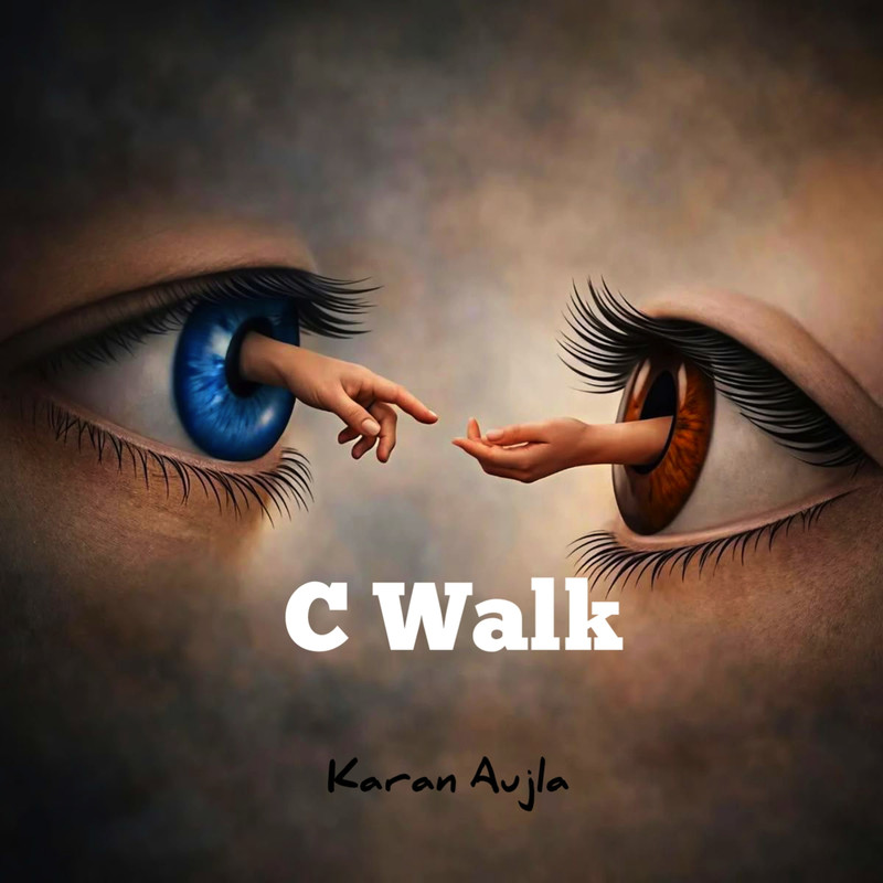 CWalk封面