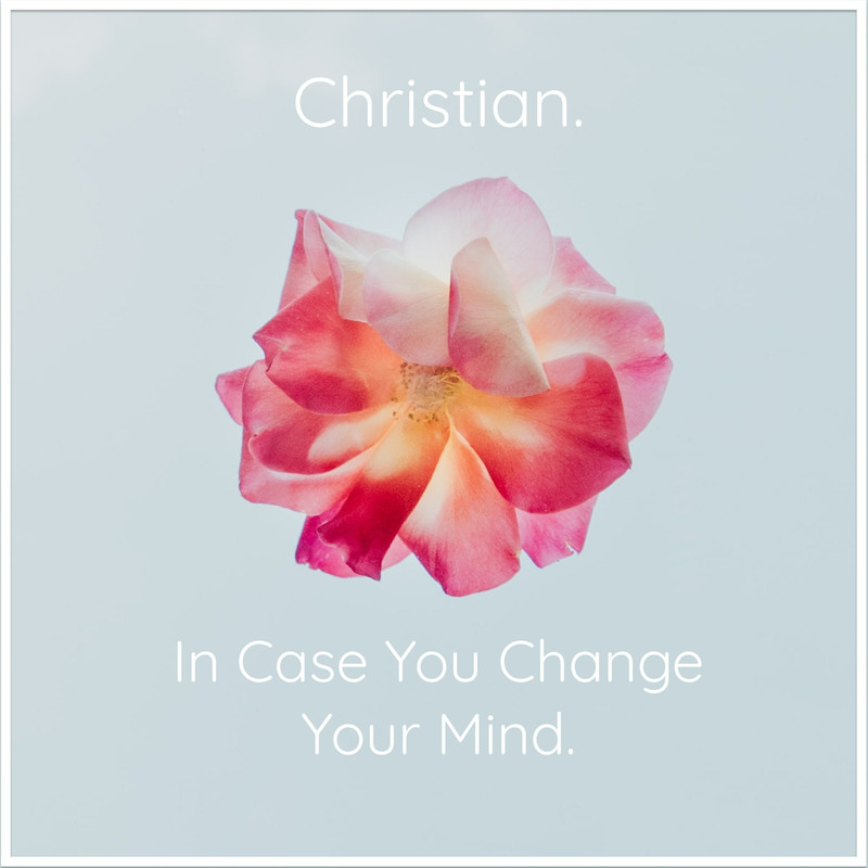 InCaseYouChangeYourMind.封面