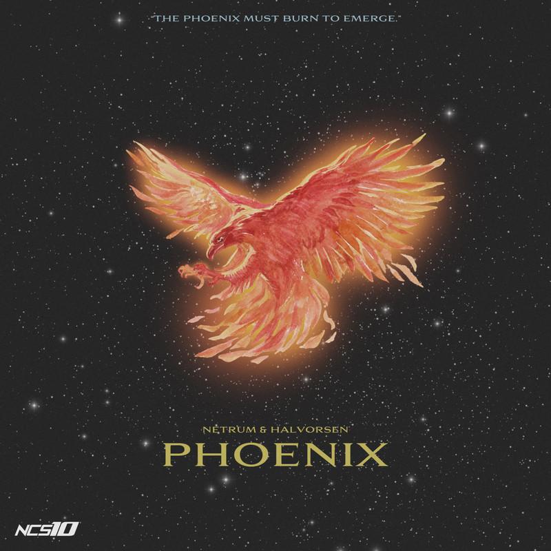 Phoenix封面