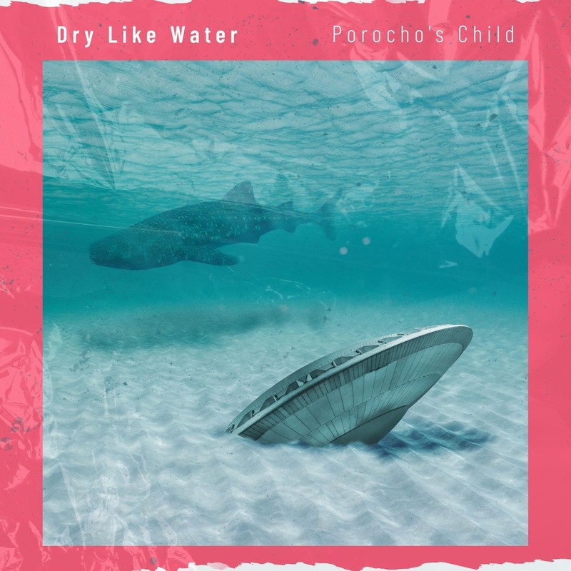 DryLikeWater封面