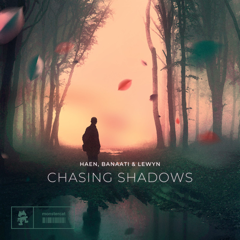 ChasingShadows封面