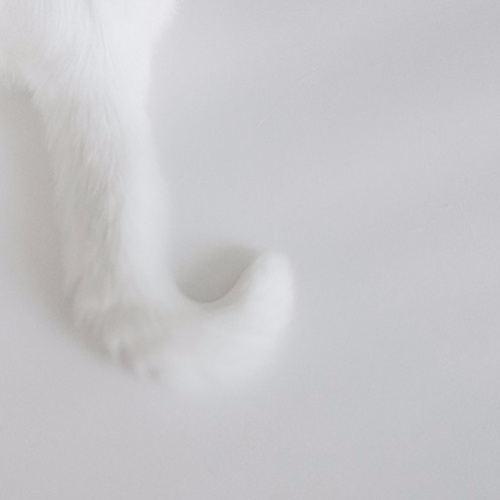 恒封面