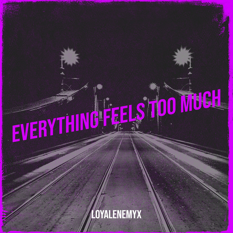EverythingFeelsTooMuch封面