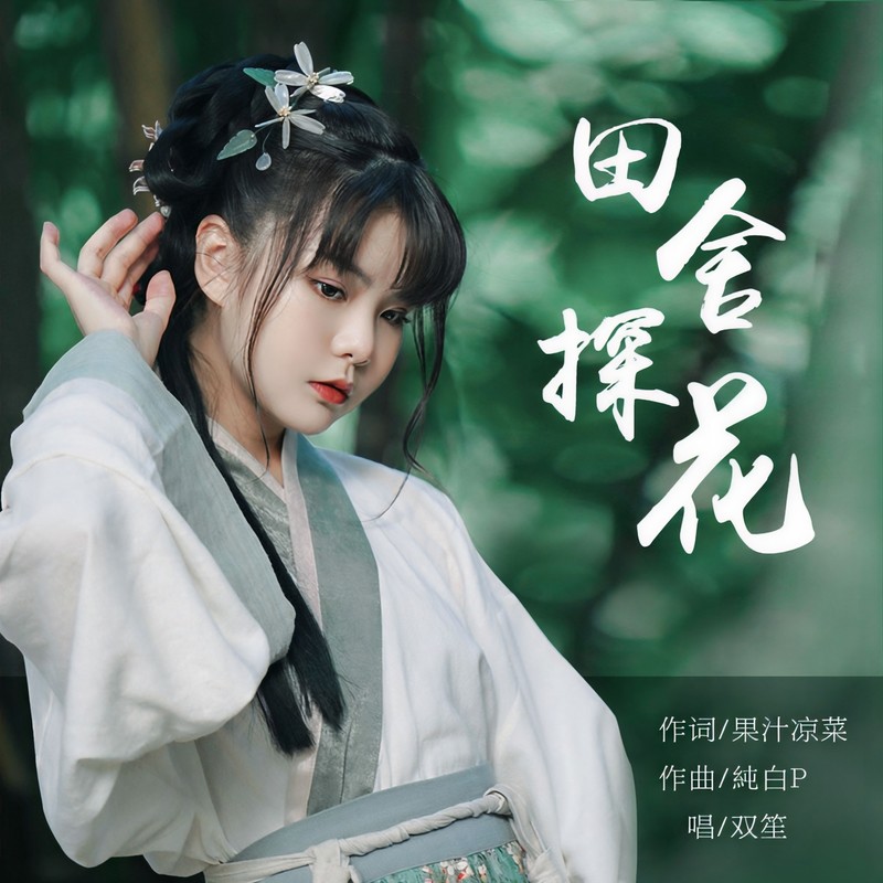 田舍探花封面