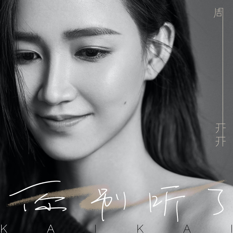 你别听了封面