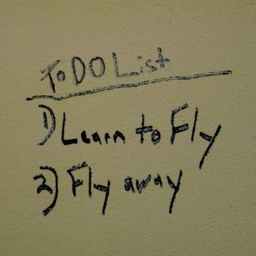 FlyAwayVIP封面