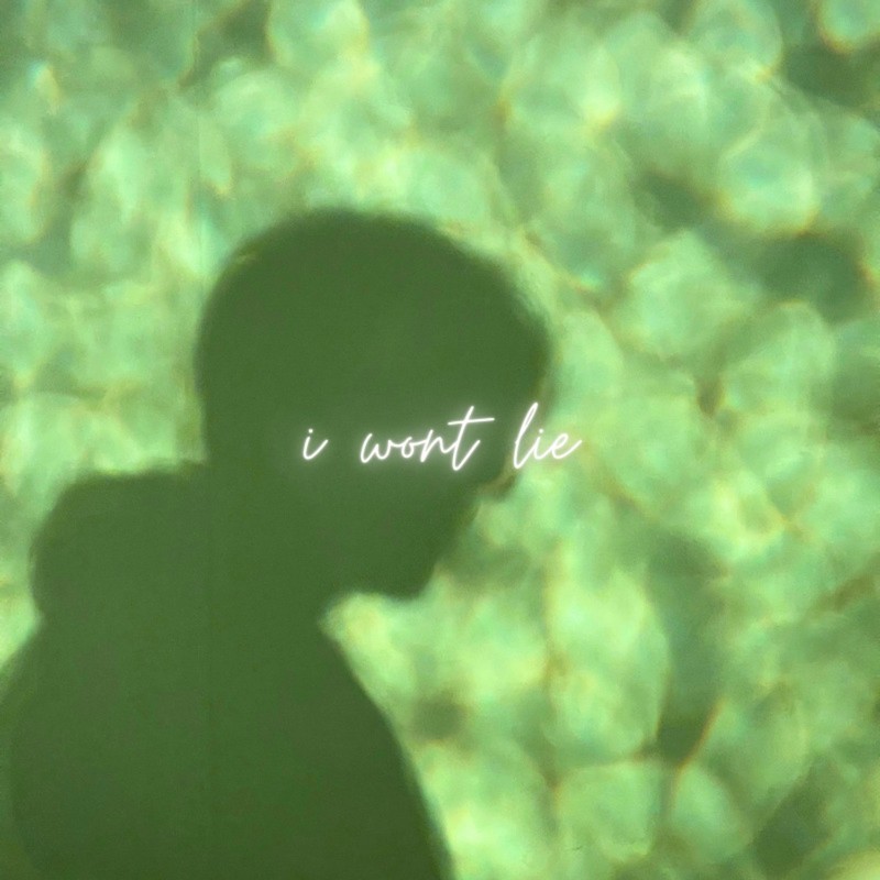 iwon'tlie封面