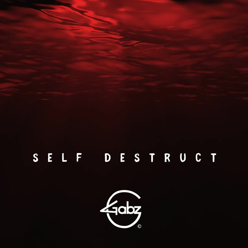 SelfDestruct封面