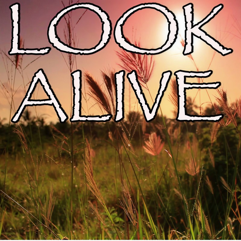 LookAlive封面