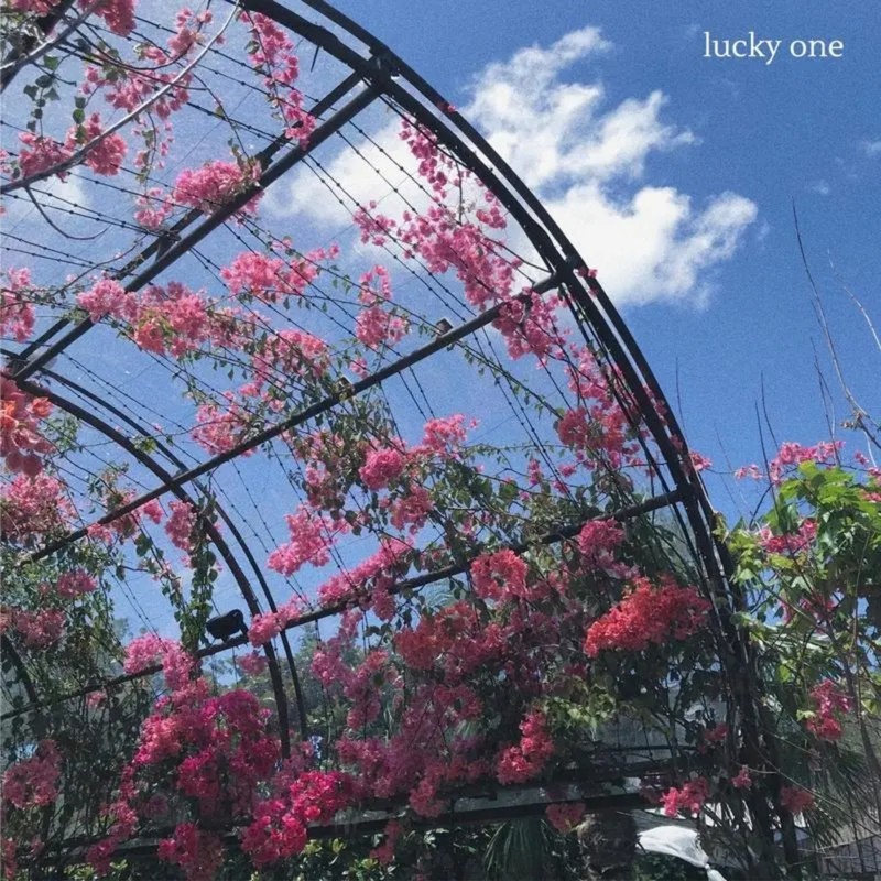 Luckyone封面