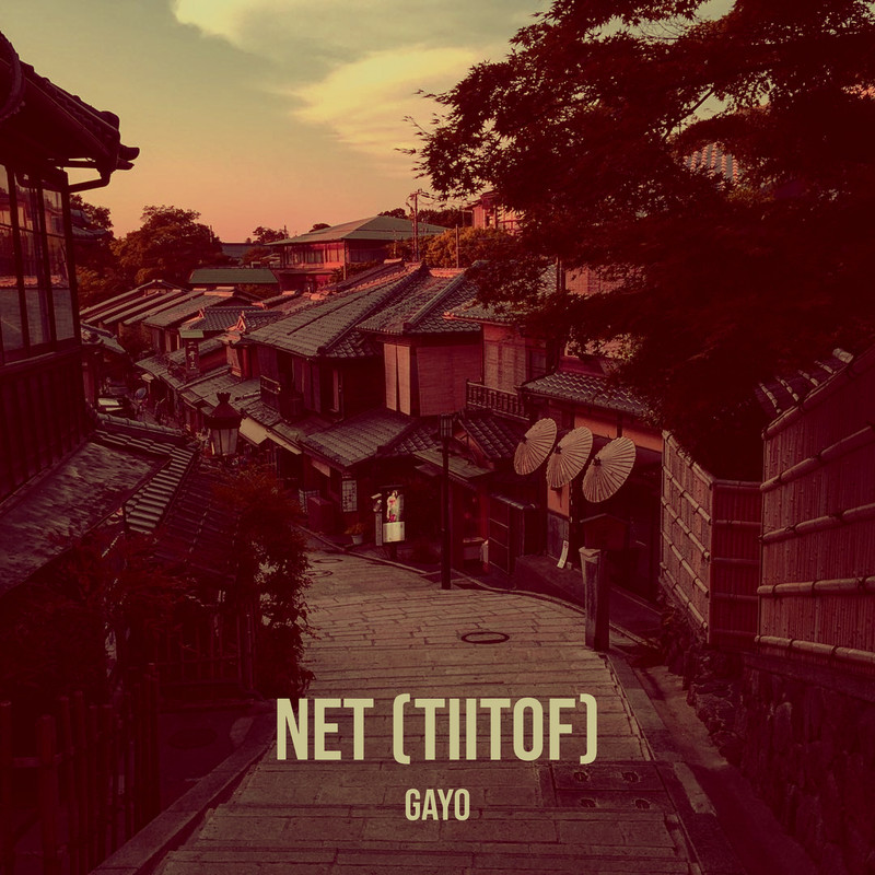 NET(TIITOF)封面