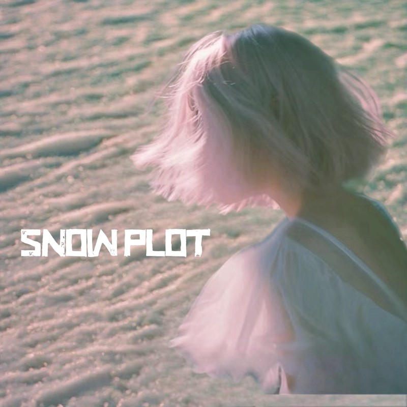 SnowPlot封面